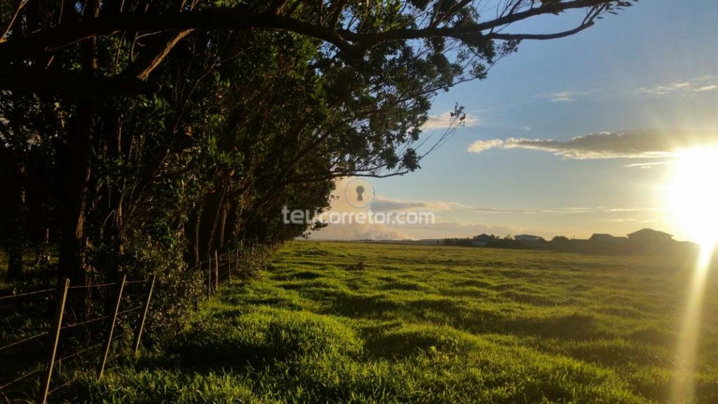 Terrenos