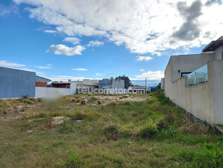 Terrenos