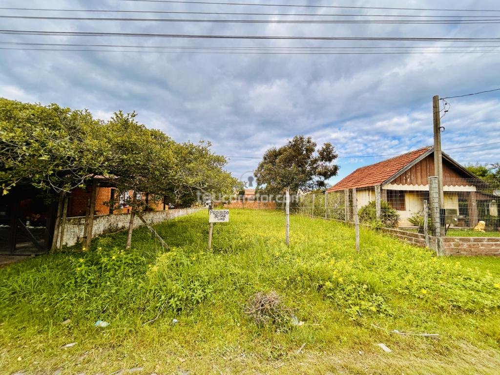 Terrenos