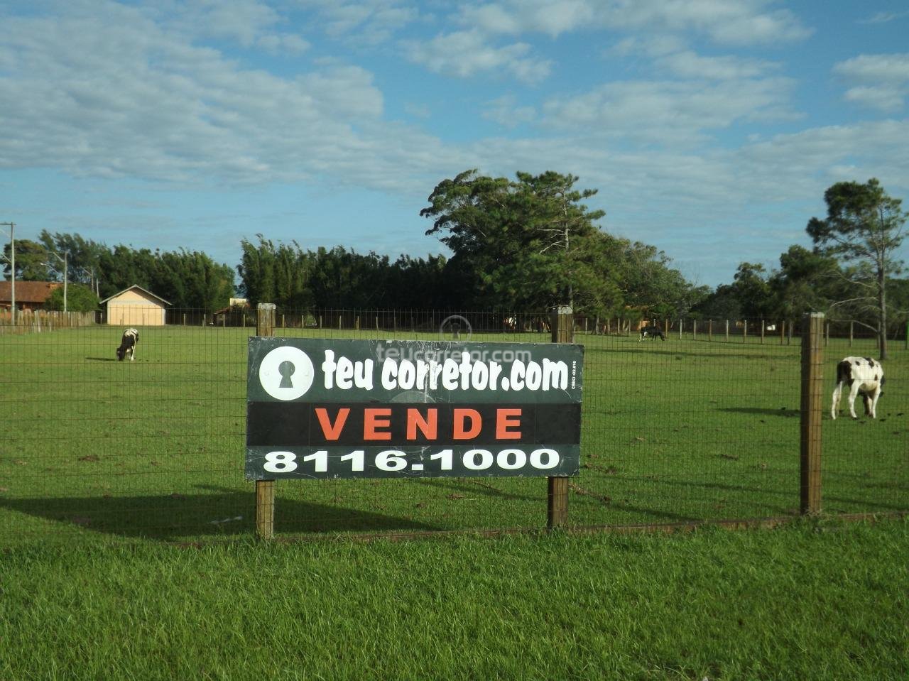 Terrenos